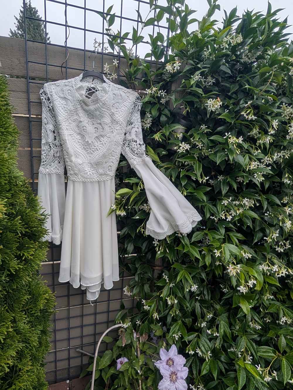 Ivory Lace Bodice Long Sleeve Chiffon Dress